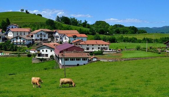 Verdades y mentiras Ternera de Navarra