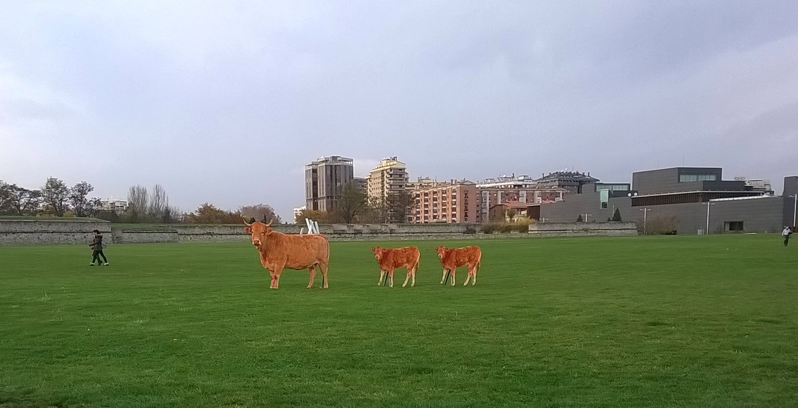 Ciudadela Pamplona Ternera de Navarra